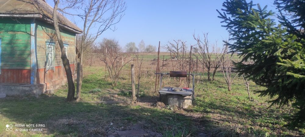 Продам будинок по близу Чернігова з доглянутим садом і городом.
