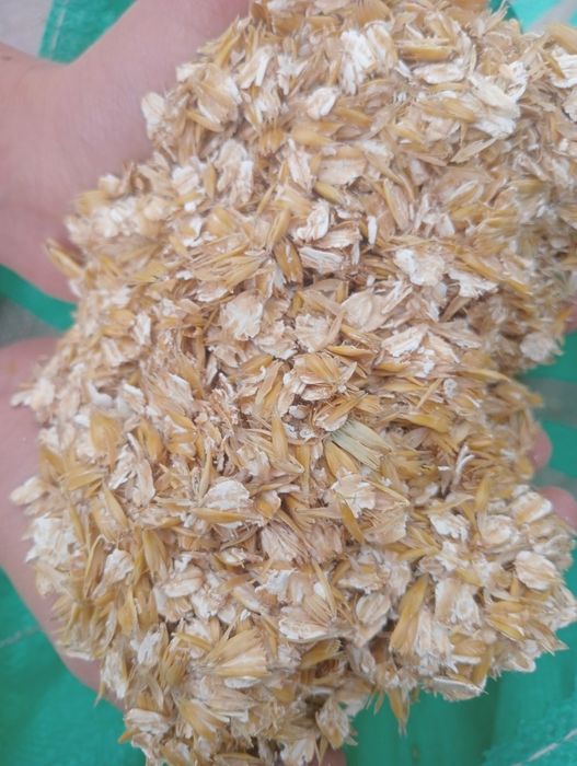 Mieszanka zboża gniecione wysyłka dla drobiu,kury kaczki,gęsi,kró