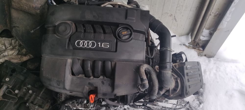 Silnik benzynowy 1.6 8v BGU kompletny bdb stan audi a3 8p golf v Seat