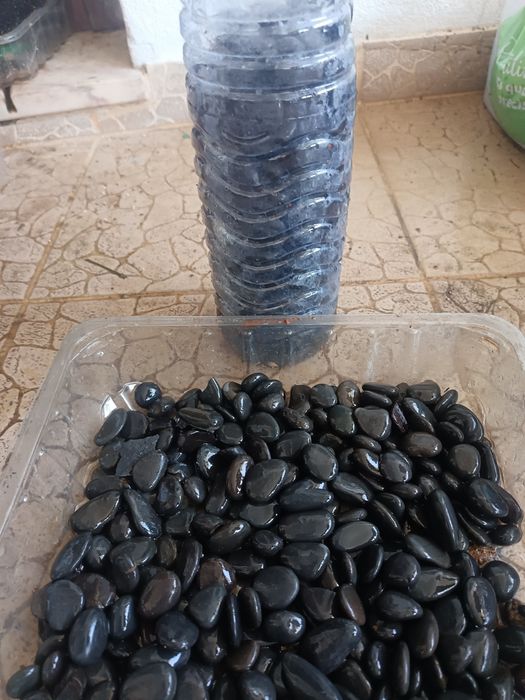 Pedras negras aquário