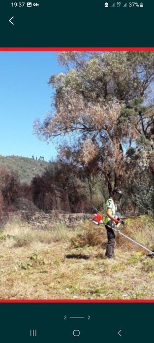 Manutenção de jardins ,limpeza de mato
