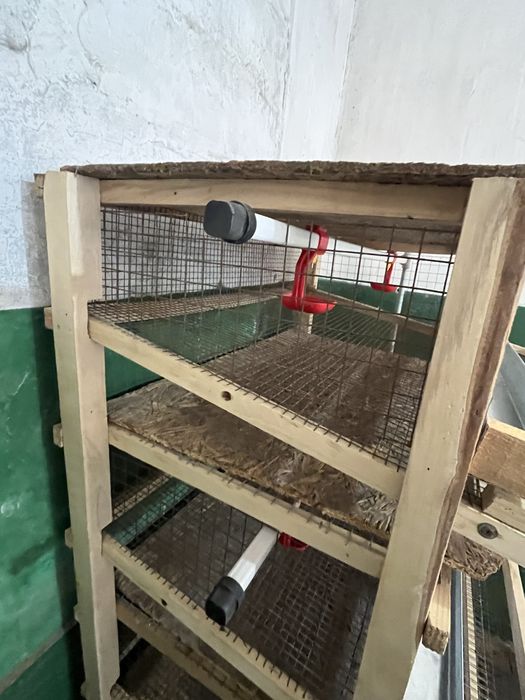 Клетки для перепелів. Все в комплекті!