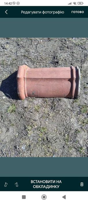 Продам гусаки на дах