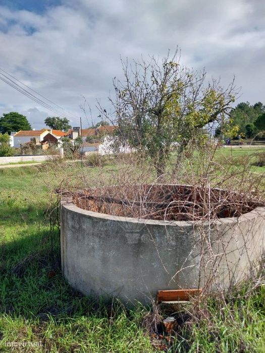Terreno  para venda — Santana do Mato, Santarém