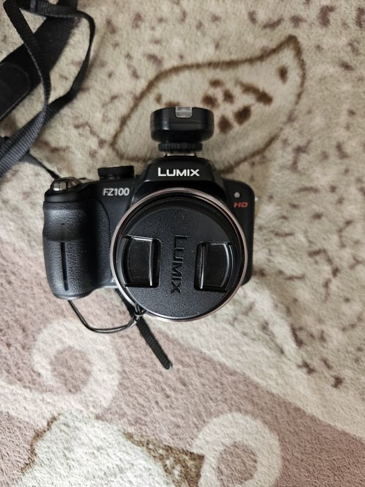 Panasonic lumix fz100 i fz38