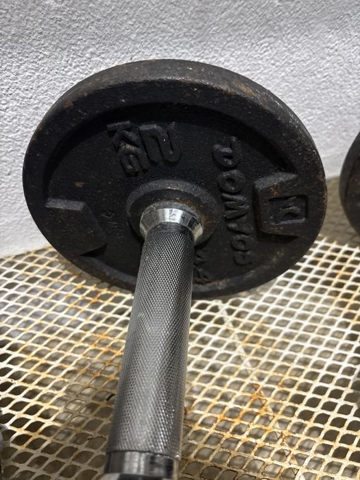 Halteres varios439919751139184642