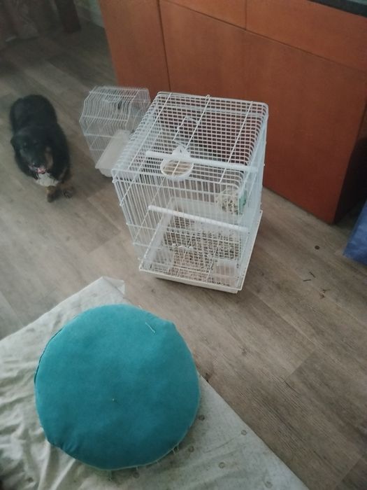 Vendo gaiola praticamente nova