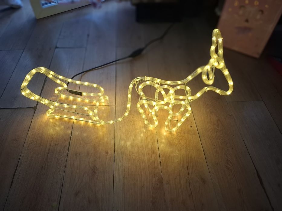 Renifer led +sanie