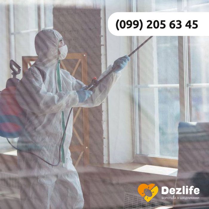 Винищуємо комах таргани клопи блохи та гризунів Безпечно Гарантія