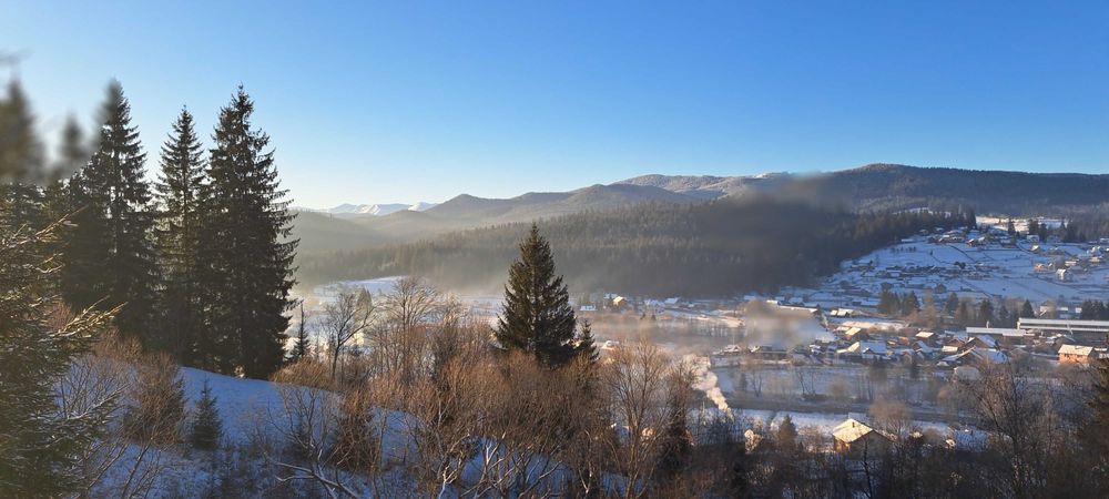 Ворохта "Котедж "ШПІНЬ "