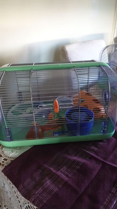 Habitat para pequenos roedores