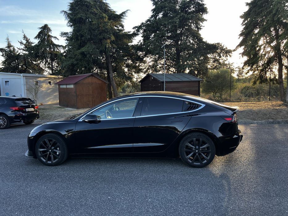 Tesla model 3 2019