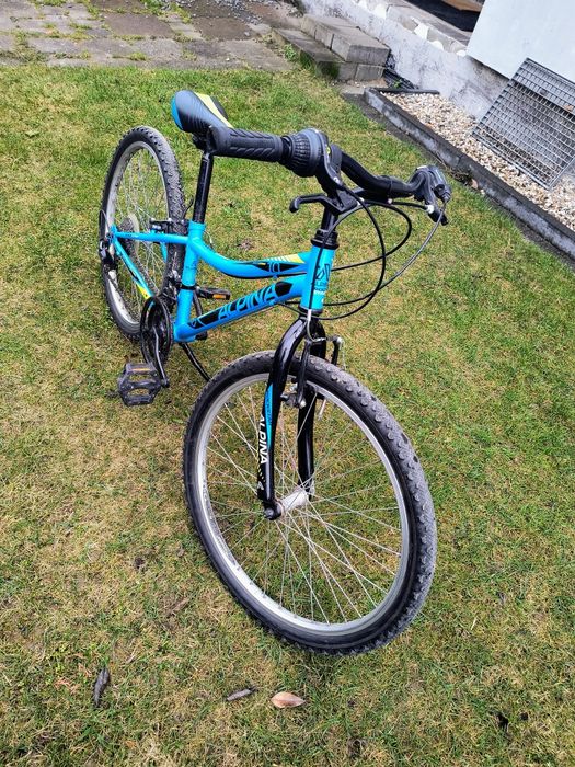 Rower Alpina 24 cale