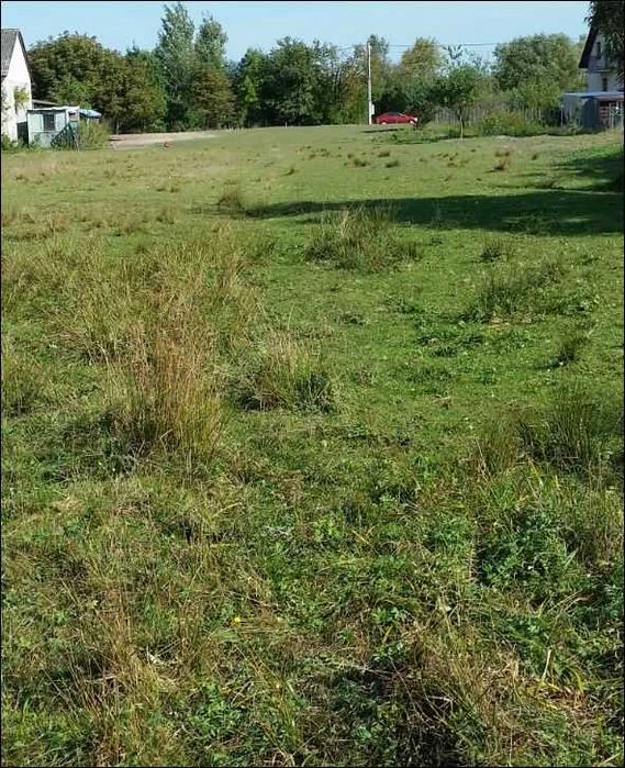 Działka na sprzedaż Małków - WARUNKI ZABUDOWY