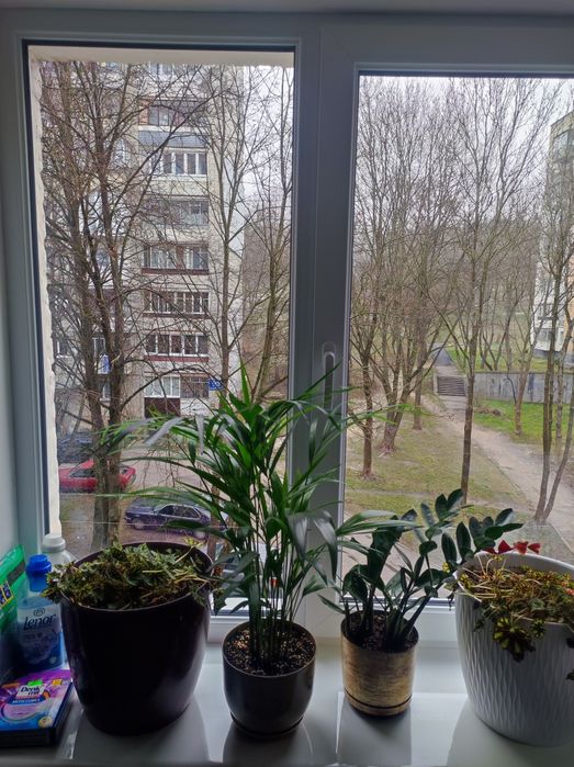 Прибирання квартир, миття вікон, хімчистка