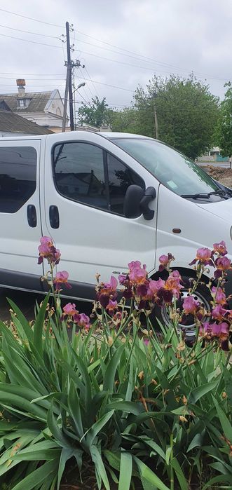 Nissan primastar Renault trafic