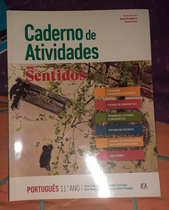 Portuguese Workbook/Activity Book – Grades 10, 11, and 1264285670758401122
