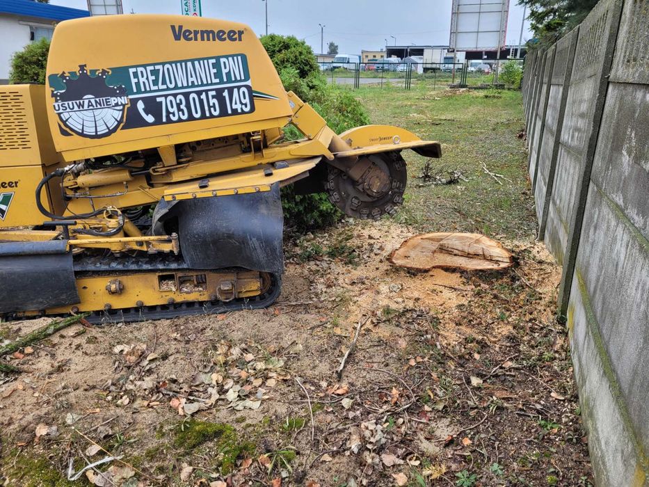 Usługa Frezarką Frezowanie Karp Usuwanie Pni Korzeni