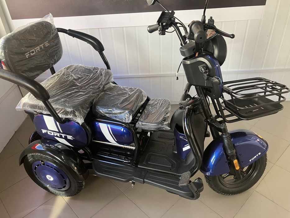 Електричний трицикл Forte Family WN1060