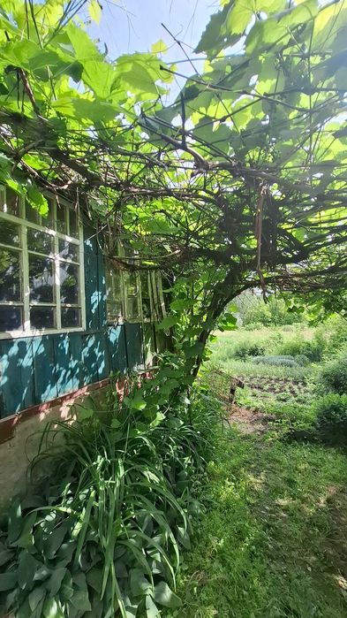 Без комиссии! Продам дом, участок, Ольшаны, Солоницевка Отг MA