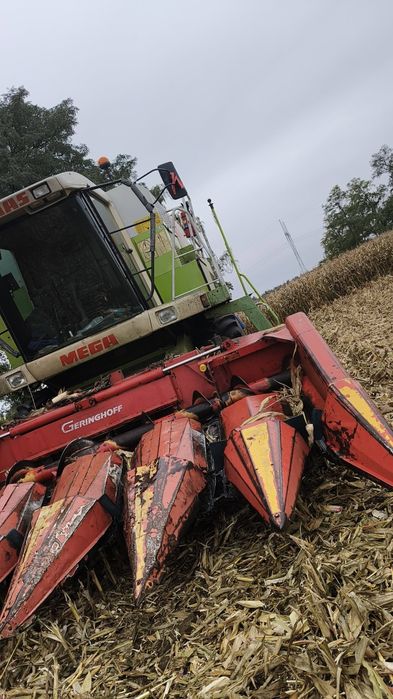 Przystawka do kukurydzy geringhoff (nie capello dominoni olimac claas)