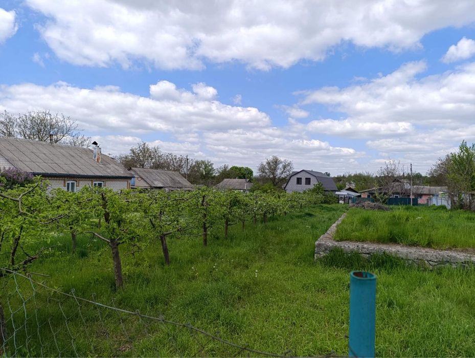 Будинок в смт Теплик разом з участком садок