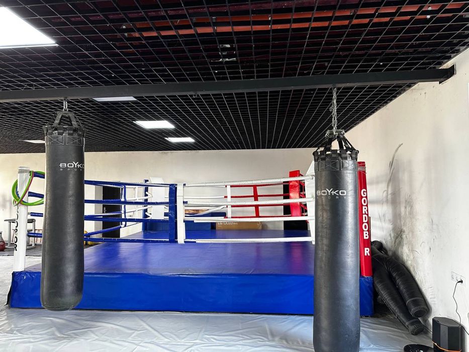 Ринг «Бойко» 16-ти канатний