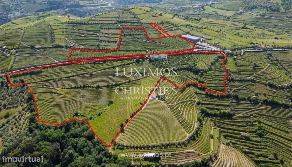 Quinta Vinícola à venda no Douro Valley em Cambres, Lamego, Portugal
