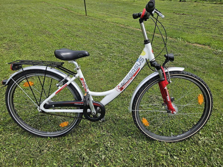Rower Pegasus 26"