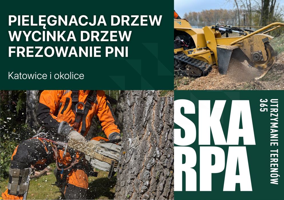 Wycinka drzew, rębakowanie gałęzi, frezowanie pni - Katowice
