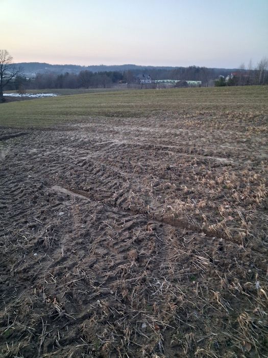 Działki w Kielnie