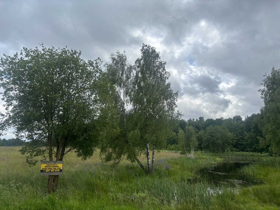Działka pod dom lub rekreację - rolna z warunkami zabudowy – 6578 m² – Zerbuń, gm. Jeziorany (okolica Olsztyna i Biskupca) - Widok 5