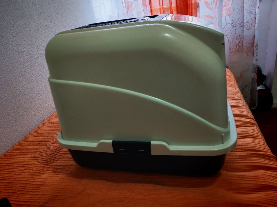 WC Caixa de areia Gato