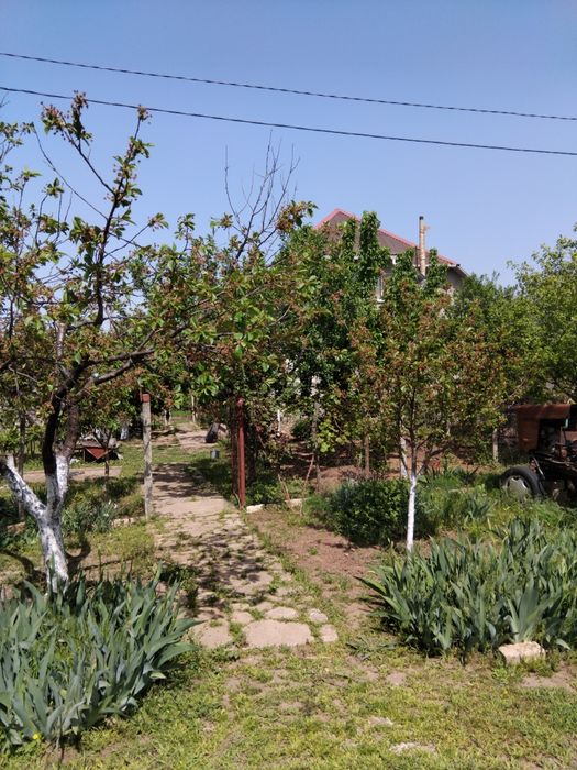 Продаж будинку  в Миколаєві