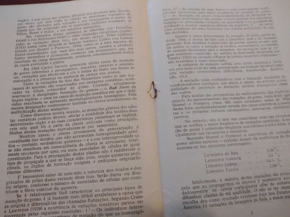 Carlos R. Marques de Almeida - Mutação de gomo