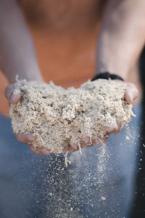 Тирса деревна (сосна)