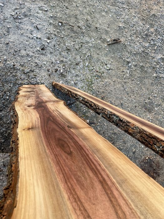 Nogueiro portugues. Pranchas de madeira.