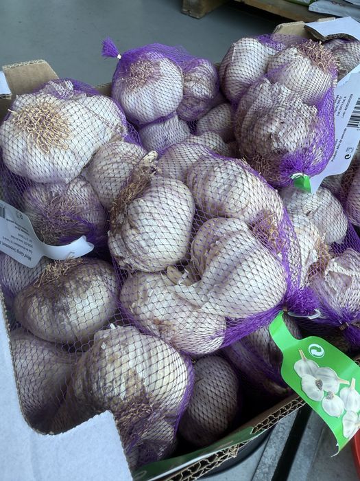 Alhos de semente roxos