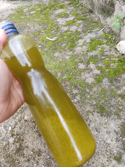 Azeite Virgem 0.2 (Região Demarcada do Douro)