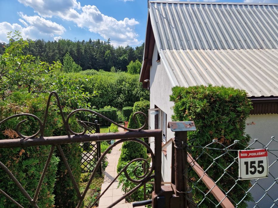 Działka z domkiem ROD "Podleśny" Iława - Widok 6