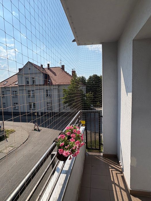 Siatka balkonowa dla kotów / na gołębie