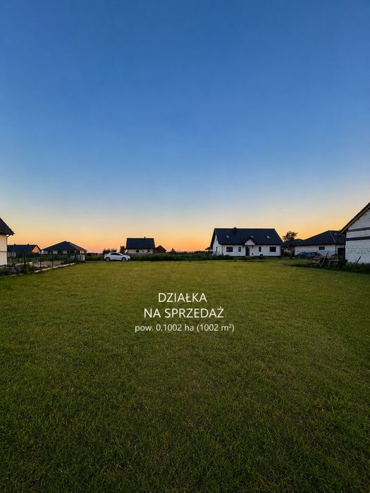 Zdjęcie 2