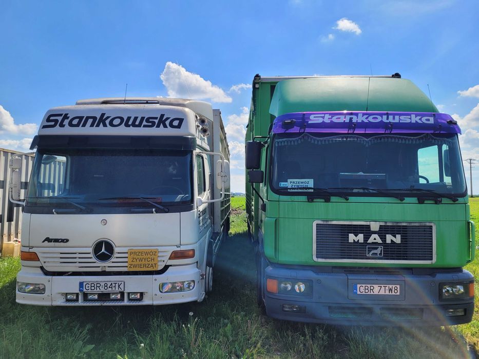 Samochod ciezarowy do przewozu zwierzat
