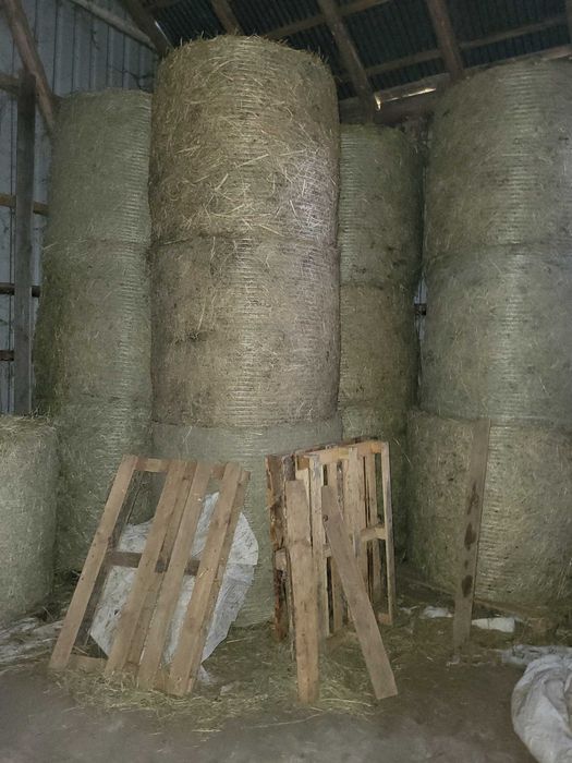 Siano baloty dobrej jakości