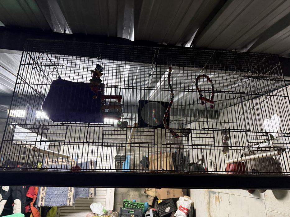 Vendo gaiola com os acessorios dentro