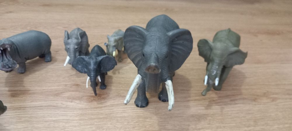 Conjunto de elefantes