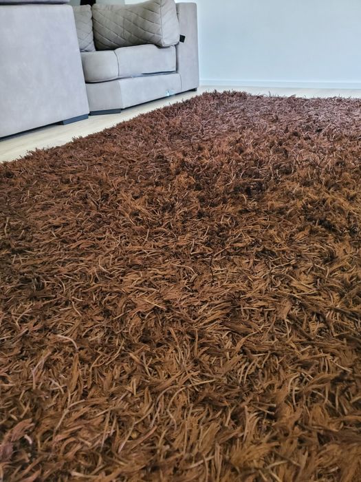 Brown Carpet426580506806865921