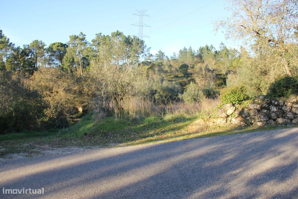Fantástico terreno para moradia