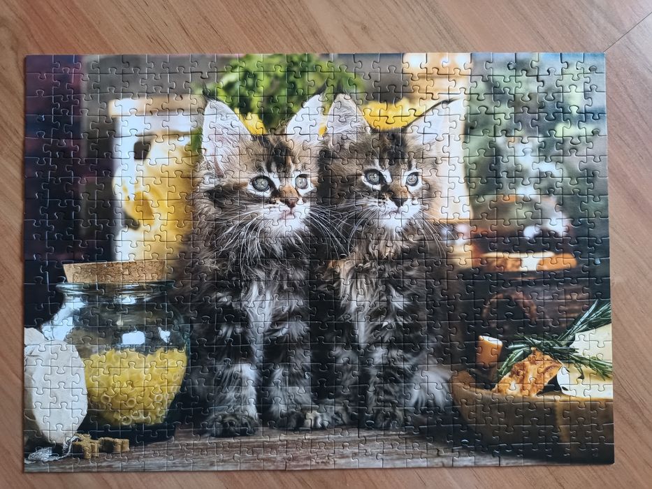 Puzzle Trefl z serii Animal - Koty. 500 elementów.