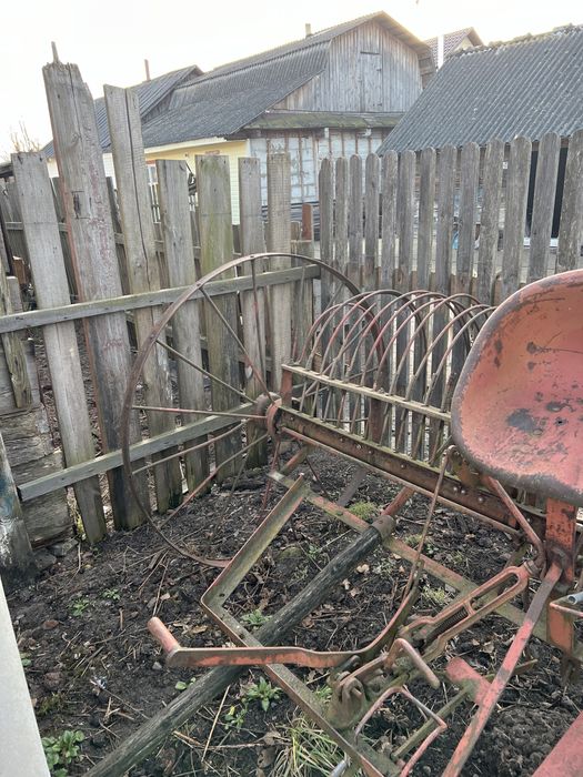 Кінська гребачка